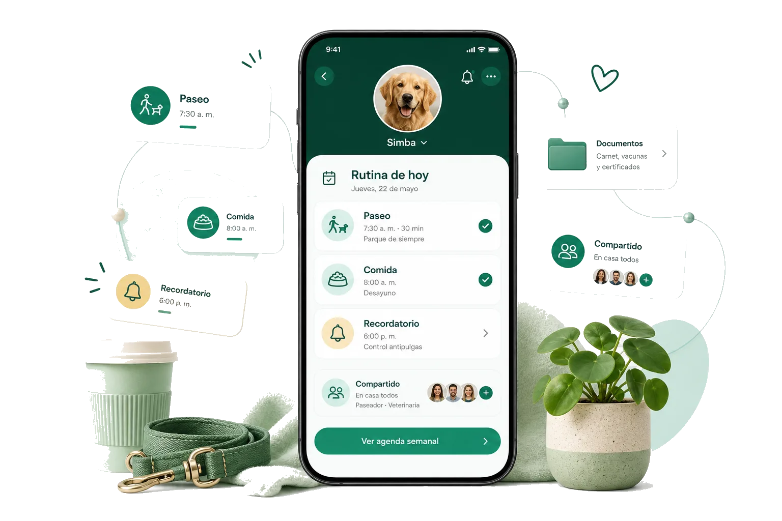 Daily pet routine organized in Pessy