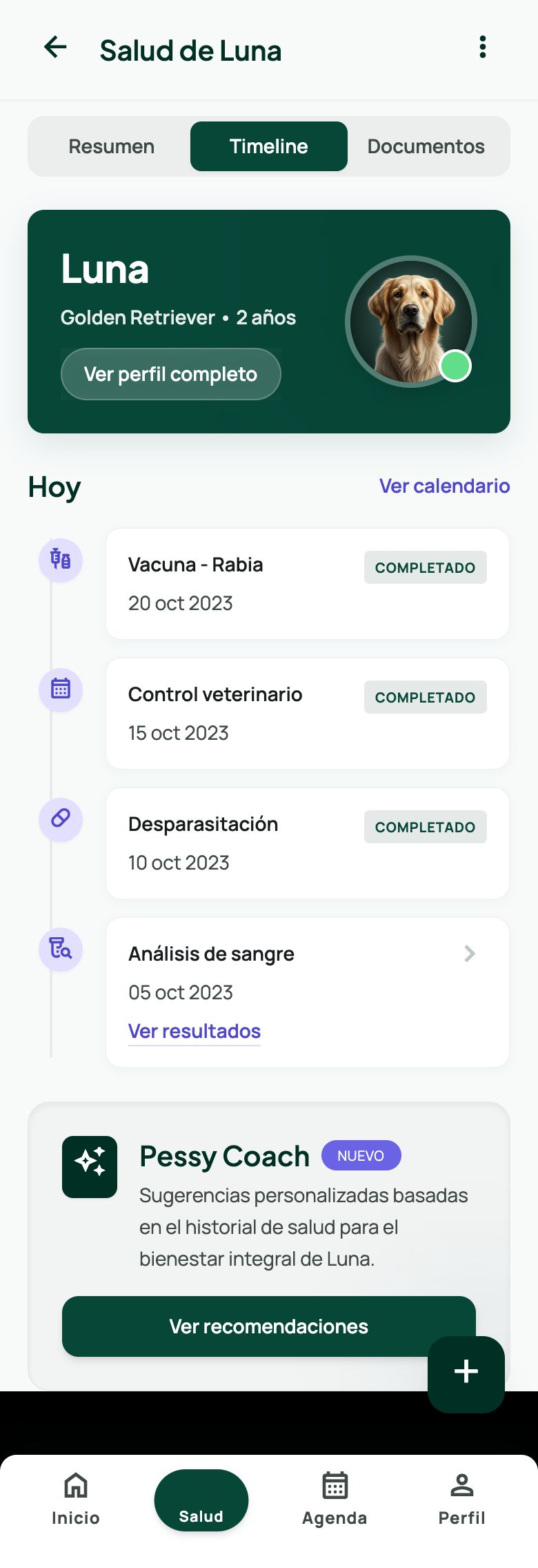 Historial veterinario real de Pessy