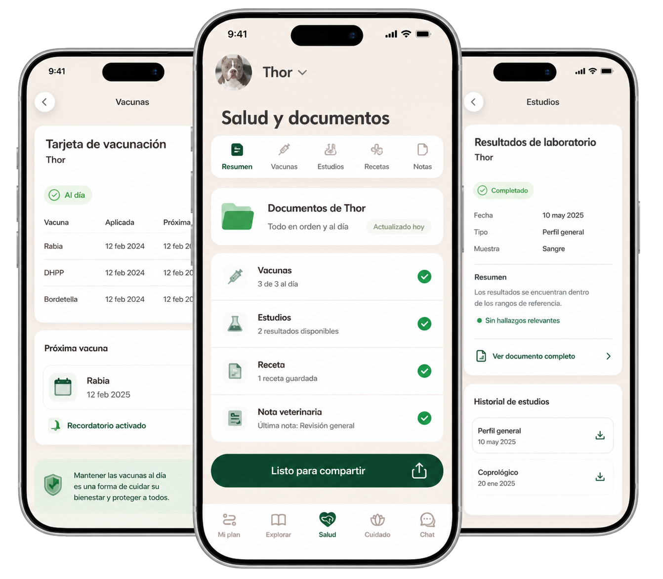 Documentos en Pessy: qué información quedó lista