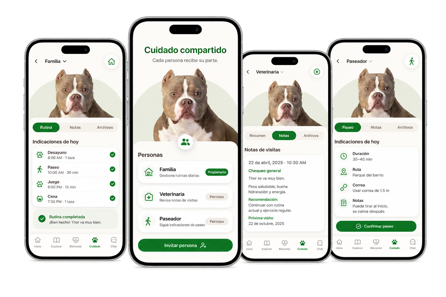 Cuidado compartido en Pessy: quién necesita ver la información ahora