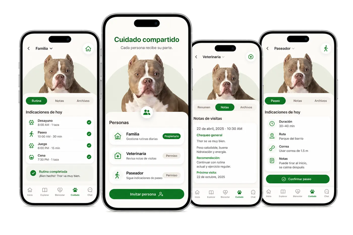 Pantallas de Pessy para compartir información autorizada con otras personas